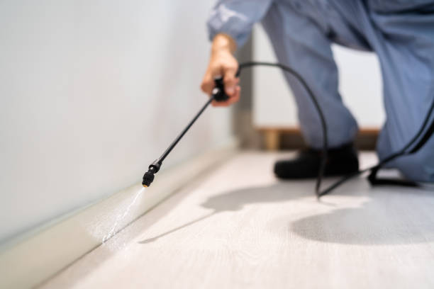Licensed Wasp Removal service in Franklin, MI - Show Me Pest Control