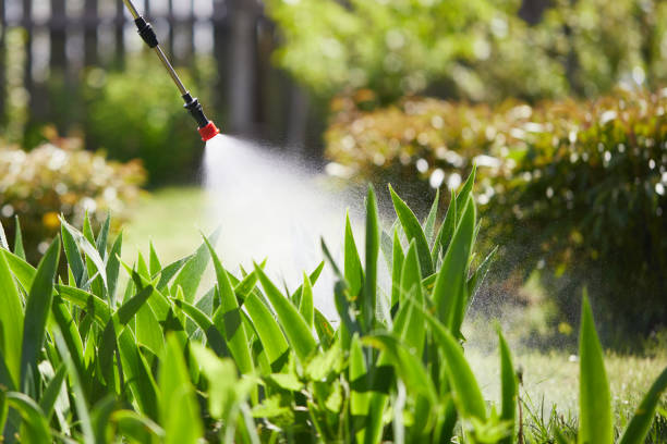 24/7 Emergency Wasp Removal experts in Franklin, MI